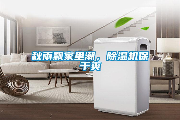 秋雨飄家里潮，除濕機保干爽