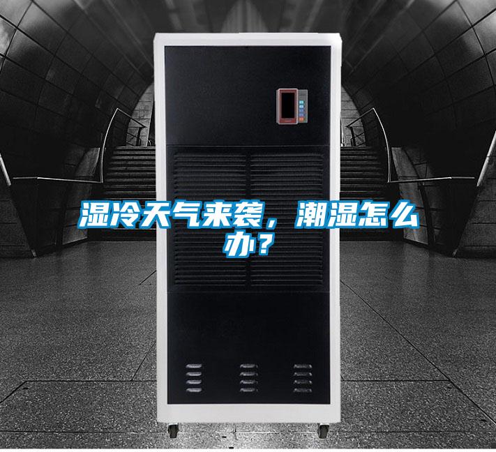 濕冷天氣來襲，潮濕怎么辦？