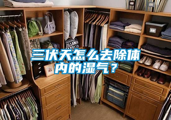 三伏天怎么去除體內的濕氣？