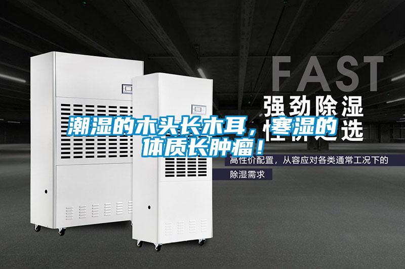 潮濕的木頭長木耳，寒濕的體質長腫瘤！