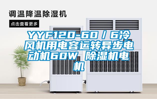 YYF120-60/6冷風機用電容運轉異步電動機60W 除濕機電機