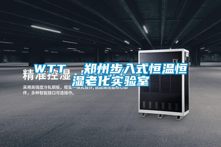 WTT 鄭州步入式恒溫恒濕老化實驗室