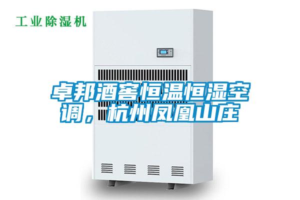 卓邦酒窖恒溫恒濕空調,杭州鳳凰山莊