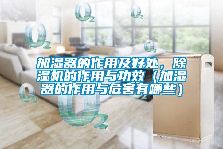 加濕器的作用及好處,除濕機(jī)的作用與功效(加濕器的作用與危害有哪些)