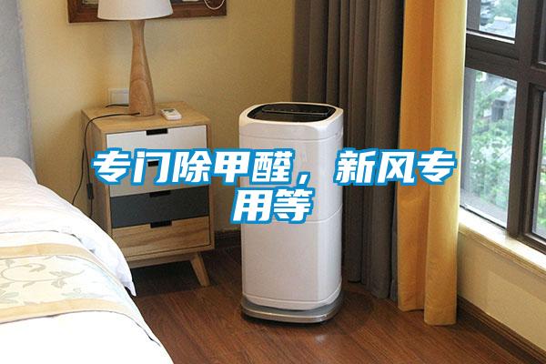 專門除甲醛，新風專用等