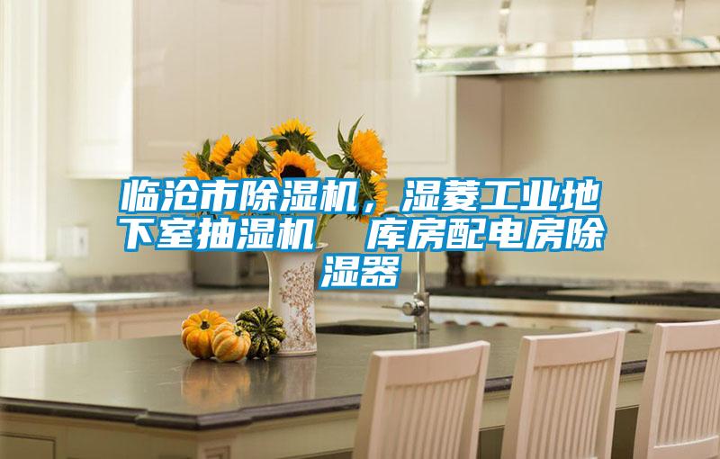 臨滄市除濕機，濕菱工業地下室抽濕機  庫房配電房除濕器