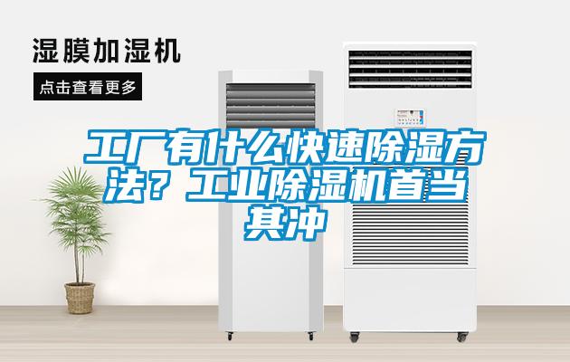 工廠有什么快速除濕方法？工業除濕機首當其沖