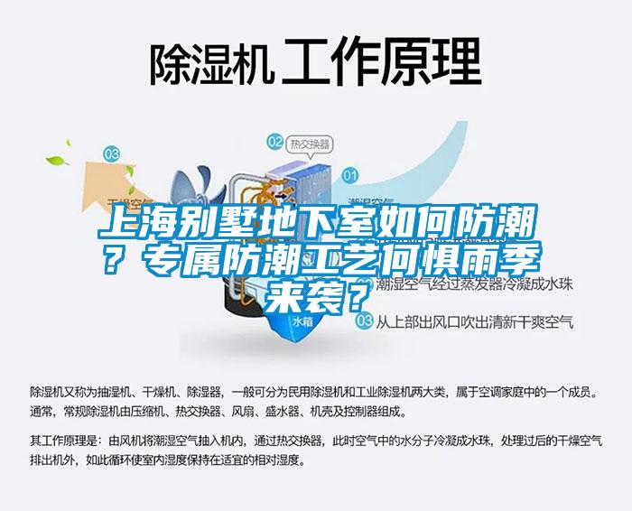 上海別墅地下室如何防潮？專屬防潮工藝何懼雨季來襲？