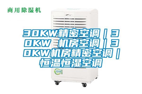 30KW精密空調(diào)|30KW 機(jī)房空調(diào)|30KW機(jī)房精密空調(diào)|恒溫恒濕空調(diào)