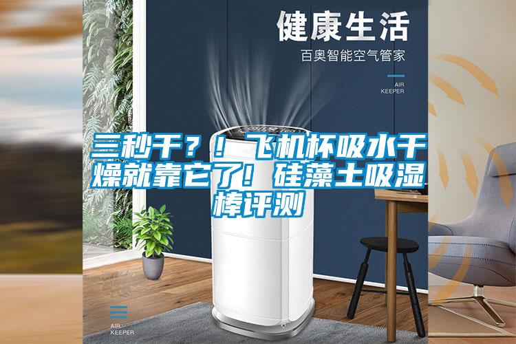 三秒干？! 飛機(jī)杯吸水干燥就靠它了! 硅藻土吸濕棒評(píng)測(cè)
