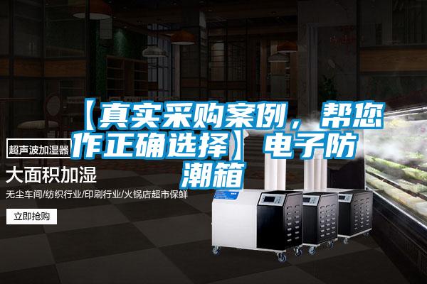 【真實(shí)采購案例,幫您作正確選擇】電子防潮箱