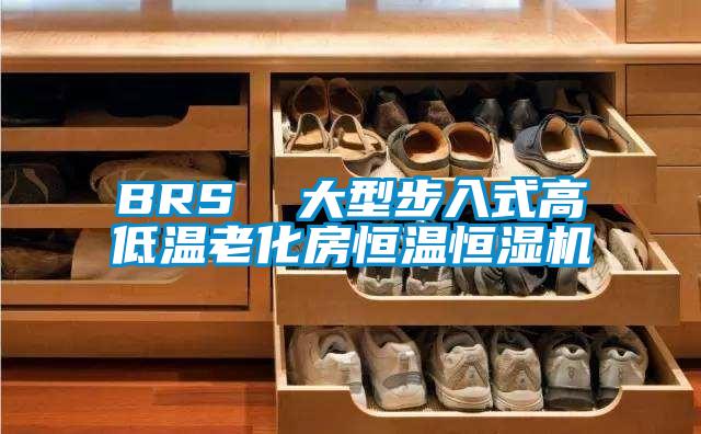 BRS 大型步入式高低溫老化房恒溫恒濕機