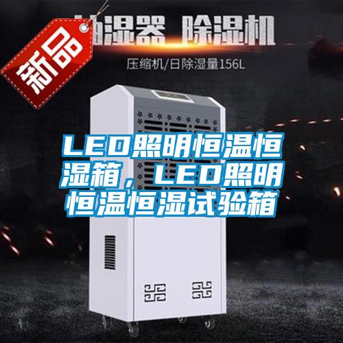 LED照明恒溫恒濕箱,LED照明恒溫恒濕試驗箱