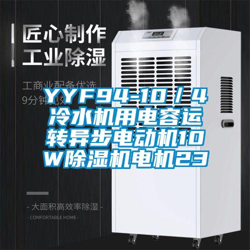 YYF94-10/4冷水機(jī)用電容運(yùn)轉(zhuǎn)異步電動(dòng)機(jī)10W除濕機(jī)電機(jī)23