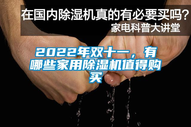 2022年雙十一,有哪些家用除濕機(jī)值得購買