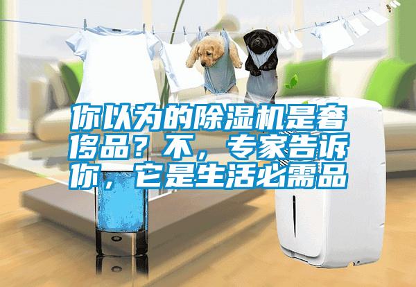 你以為的除濕機(jī)是奢侈品？不，專(zhuān)家告訴你，它是生活必需品