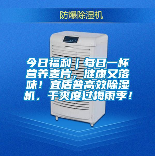 今日福利｜每日一杯營養(yǎng)麥片，健康又落味！宜盾普高效除濕機，干爽度過梅雨季！