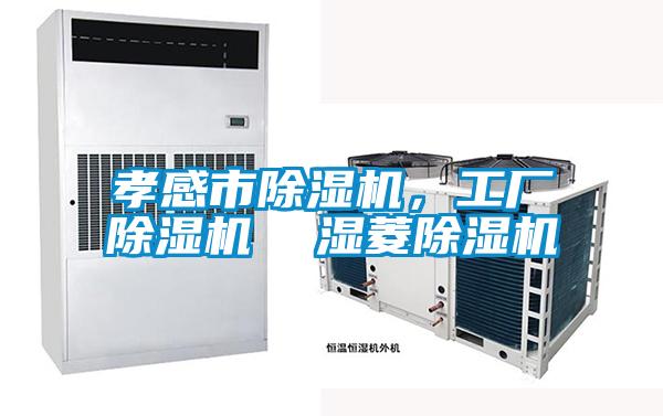 孝感市除濕機,工廠除濕機 濕菱除濕機