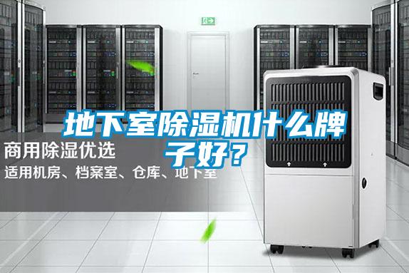 地下室除濕機(jī)什么牌子好?