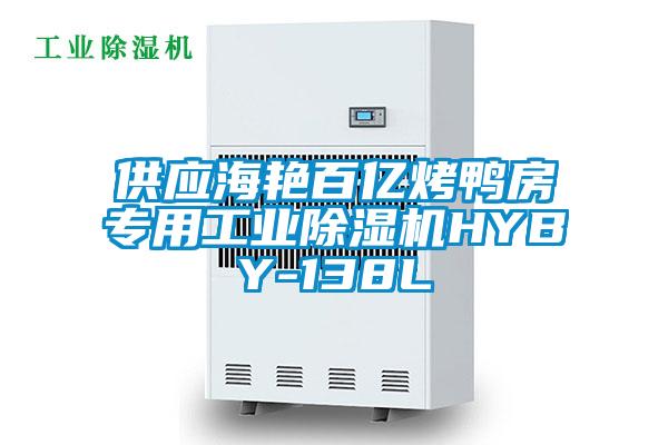 供應(yīng)海艷百億烤鴨房專(zhuān)用工業(yè)除濕機(jī)HYBY-138L