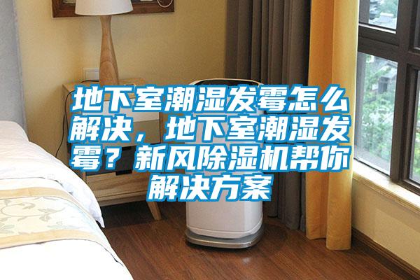 地下室潮濕發(fā)霉怎么解決，地下室潮濕發(fā)霉？新風(fēng)除濕機(jī)幫你解決方案
