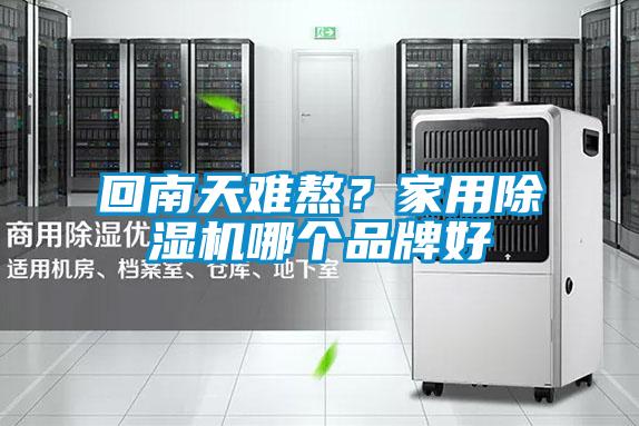 回南天難熬？家用除濕機(jī)哪個(gè)品牌好
