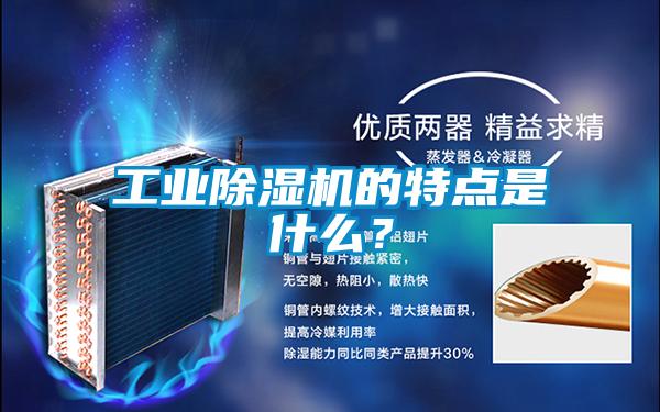 工業除濕機的特點是什么?