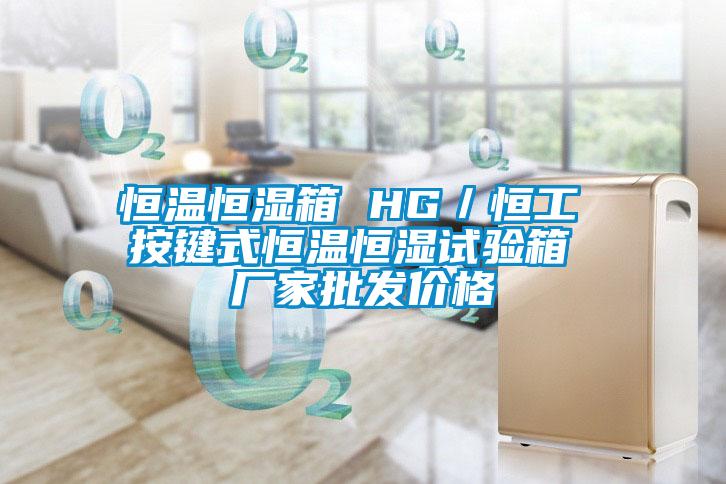 恒溫恒濕箱 HG/恒工 按鍵式恒溫恒濕試驗(yàn)箱 廠家批發(fā)價(jià)格