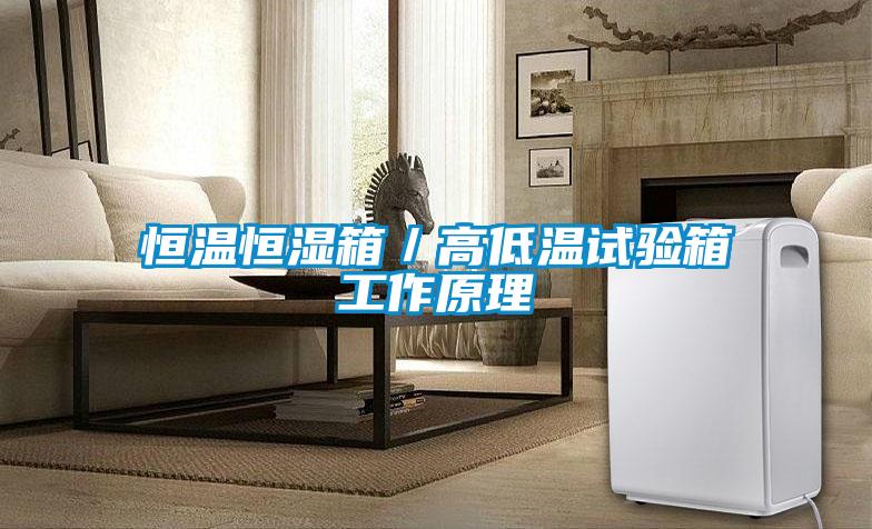 恒溫恒濕箱/高低溫試驗箱工作原理