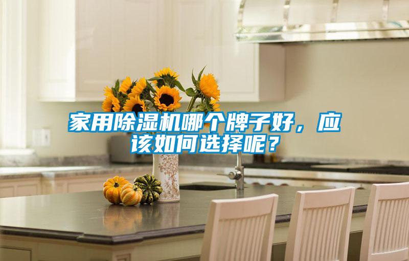 家用除濕機哪個牌子好，應(yīng)該如何選擇呢？