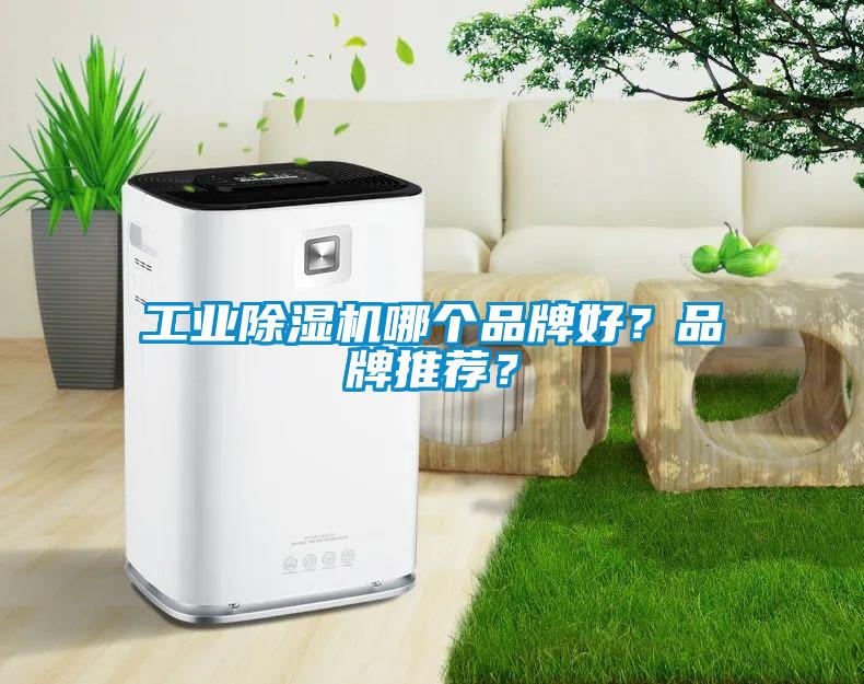 工業除濕機哪個品牌好?品牌推薦?