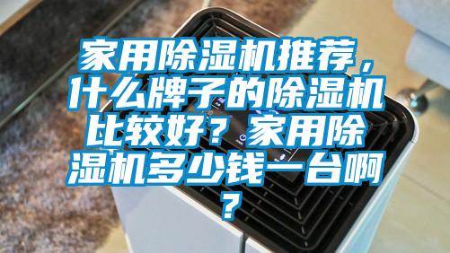 家用除濕機(jī)推薦，什么牌子的除濕機(jī)比較好？家用除濕機(jī)多少錢一臺(tái)啊？