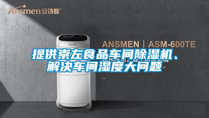 提供崇左食品車間除濕機、解決車間濕度大問題