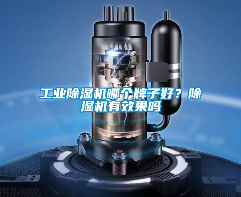 工業(yè)除濕機(jī)哪個牌子好？除濕機(jī)有效果嗎