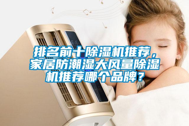排名前十除濕機(jī)推薦，家居防潮濕大風(fēng)量除濕機(jī)推薦哪個(gè)品牌？
