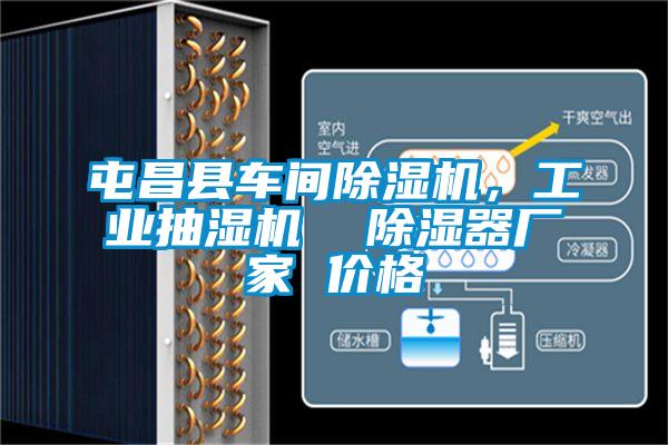 屯昌縣車間除濕機，工業抽濕機  除濕器廠家 價格