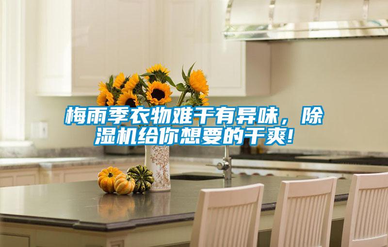 梅雨季衣物難干有異味,除濕機(jī)給你想要的干爽!