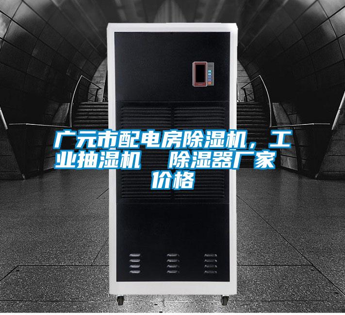 廣元市配電房除濕機，工業抽濕機  除濕器廠家 價格