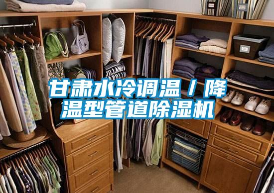 甘肅水冷調(diào)溫/降溫型管道除濕機