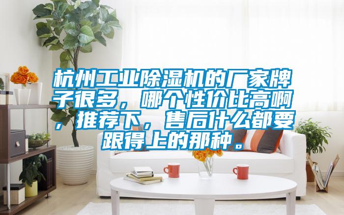 杭州工業(yè)除濕機的廠家牌子很多,哪個性價比高啊,推薦下,售后什么都要跟得上的那種。