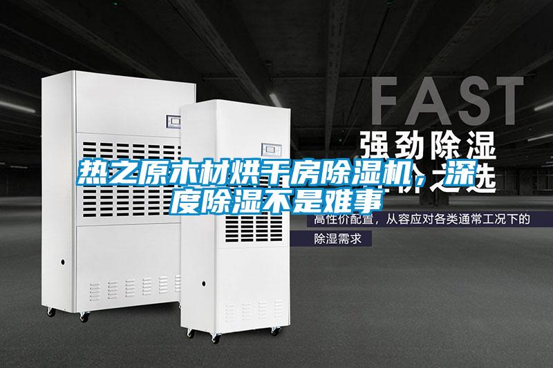 熱之原木材烘干房除濕機，深度除濕不是難事