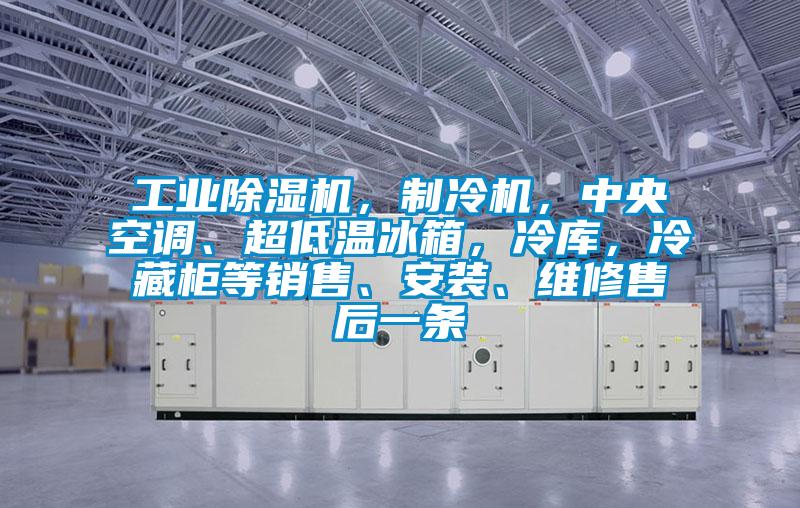 工業除濕機，制冷機，中央空調、超低溫冰箱，冷庫，冷藏柜等銷售、安裝、維修售后一條