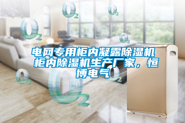 電網(wǎng)專用柜內(nèi)凝露除濕機(jī) 柜內(nèi)除濕機(jī)生產(chǎn)廠家,恒博電氣