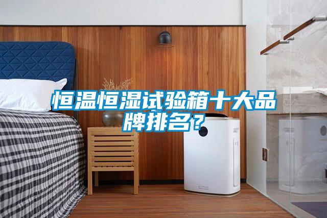 恒溫恒濕試驗箱十大品牌排名？