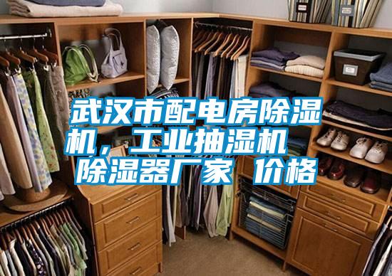 武漢市配電房除濕機(jī)，工業(yè)抽濕機(jī)  除濕器廠(chǎng)家 價(jià)格