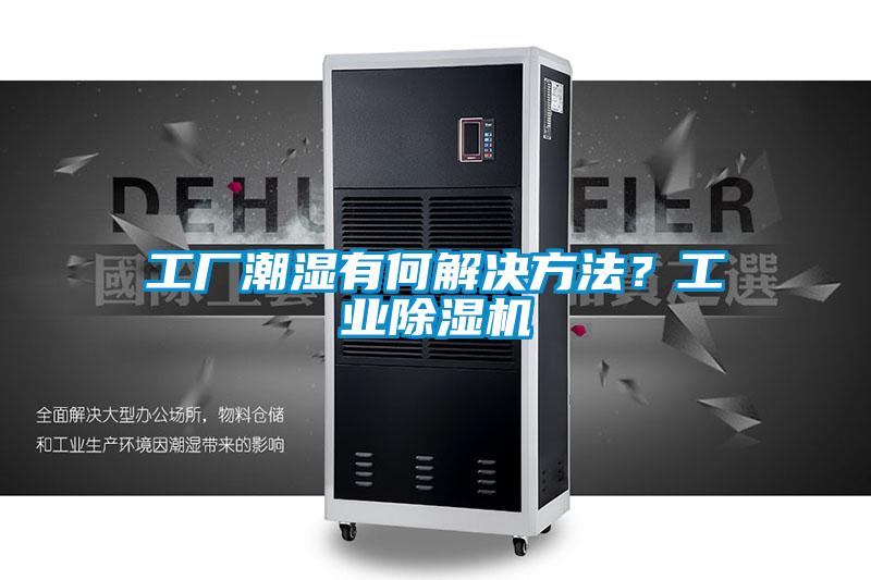 工廠潮濕有何解決方法？工業除濕機