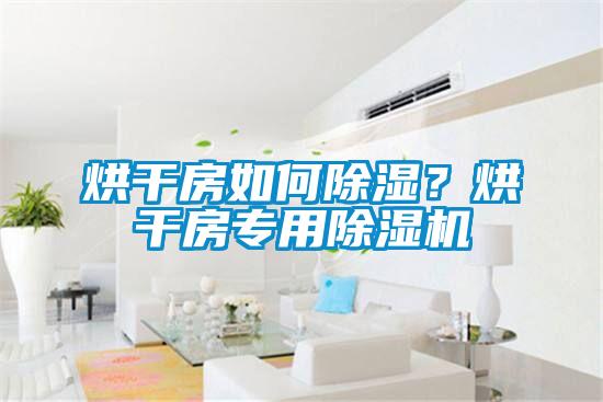 烘干房如何除濕?烘干房專(zhuān)用除濕機(jī)