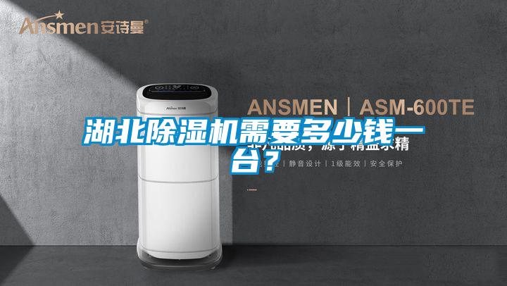 湖北除濕機需要多少錢一臺?