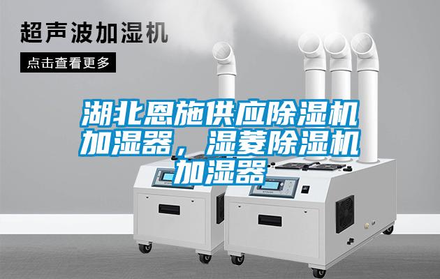 湖北恩施供應(yīng)除濕機加濕器,濕菱除濕機加濕器