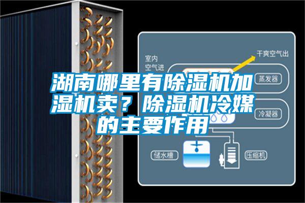 湖南哪里有除濕機加濕機賣？除濕機冷媒的主要作用